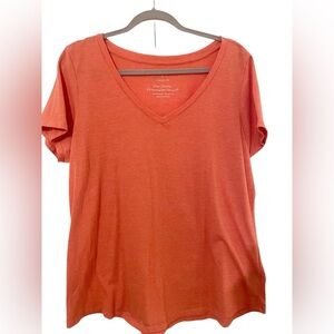 Torrid Classic Fit V Neck Shirt Size 2